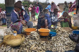 marché Zafimaniry