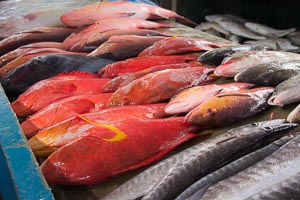 Victoria marché aux poissons